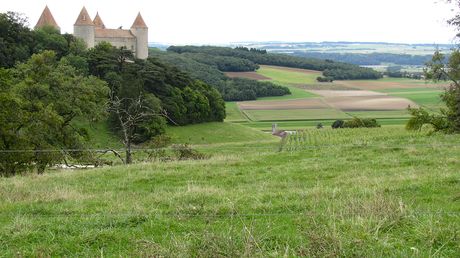 Domaine de Champvent – La Contadine